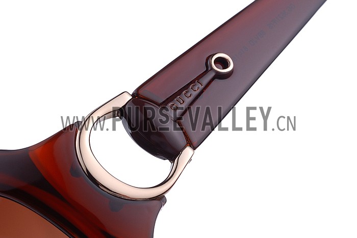 Gucci Modern Shape Brown Sunglasses 307811