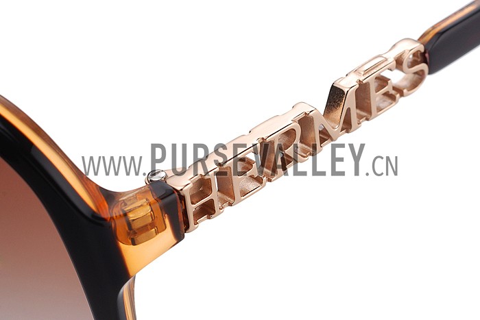 Hermes Aviator With Hermes Logo Brown Sunglasses 307851