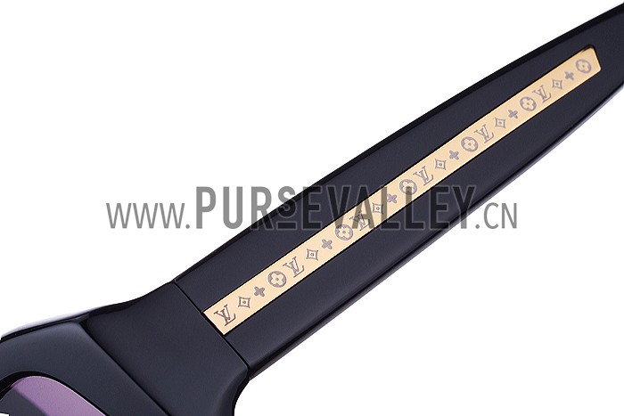 Louis Vuitton Evidence Black Sunglasses 307856