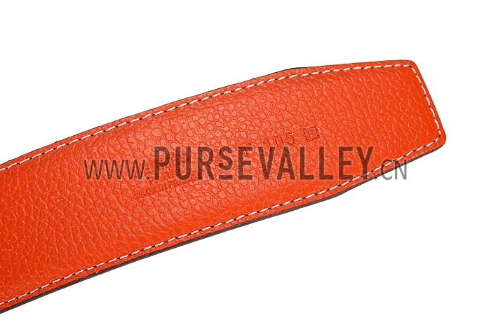 Hermes Orange With Silver 