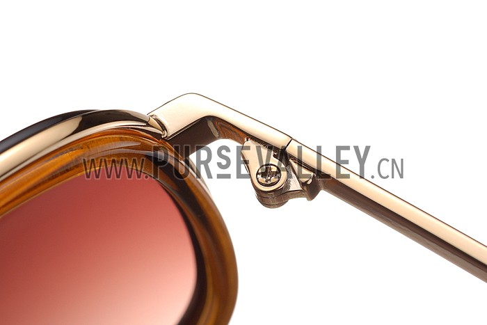 Tom Ford Brown With Gold Sunglasses 308052