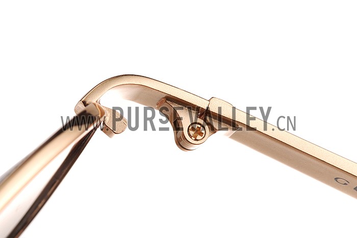 Gucci Signature Logo Gold Frame Brown Lenses Sunglasses 308145