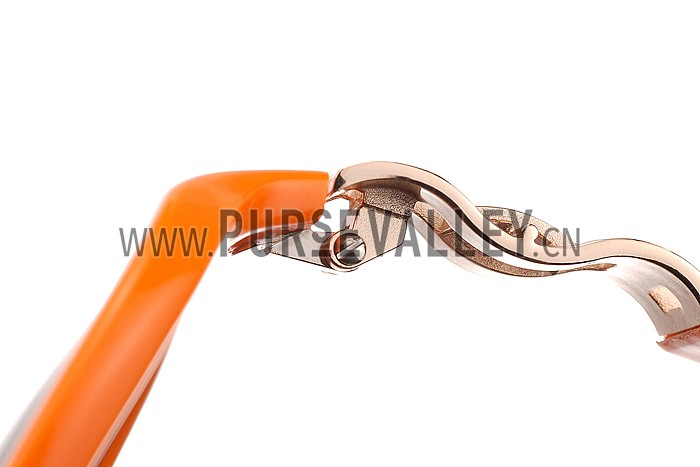 Hermes Oversized Round Frame Orange Sunglasses 308100