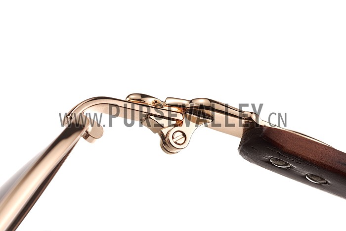 Cartier Panthere Detail Gold Frame Gradient Lenses Sunglasses 308132