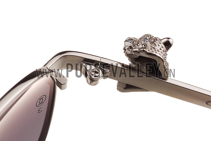 Cartier Screw And Panthere Decor Silver Frames Black Lenses Sunglasses 308136