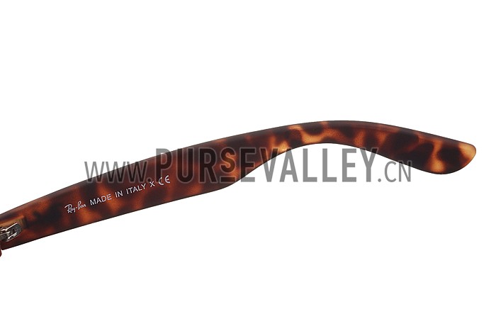 Ray Ban Justin Tortoise Frame Brown Lenses Sunglasses 308237