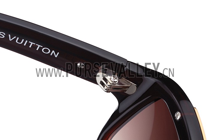 Louis Vuitton Evidence Brown Sunglasses 307857