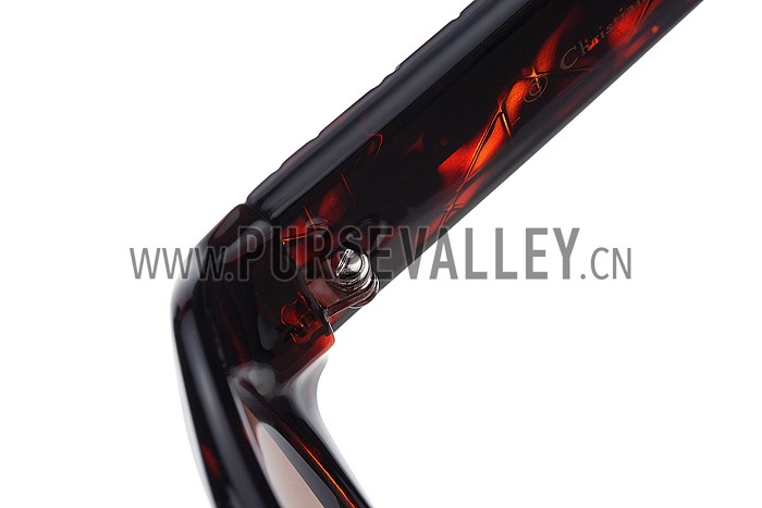 Christian Dior Lady In Dior 2 Red Sunglasses 307773