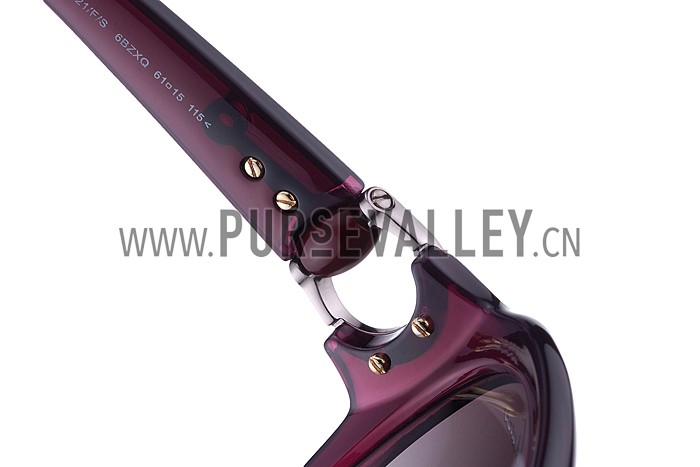 Gucci Modern Shape Purple Sunglasses 307813