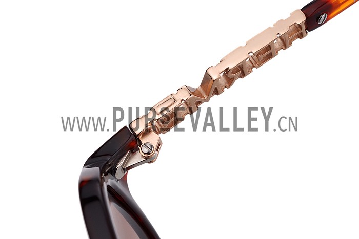 Hermes Aviator With Hermes Logo Havana Sunglasses 307852