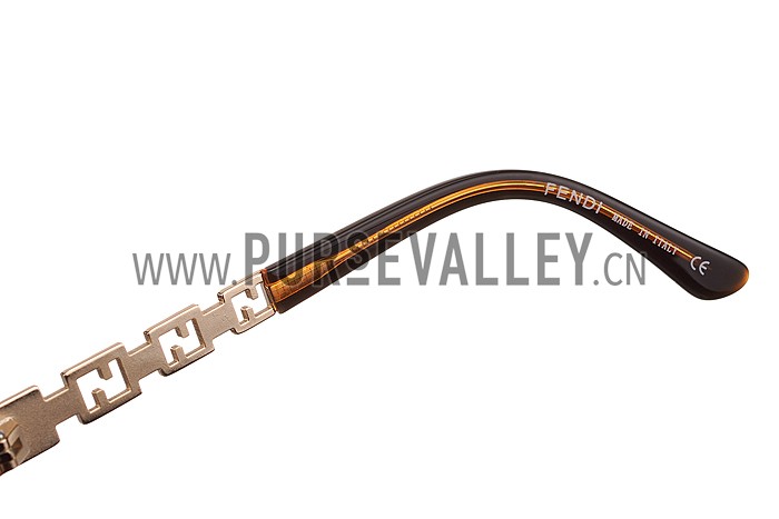 Fendi Oprah Classic Brown Frame Sunglasses 308077