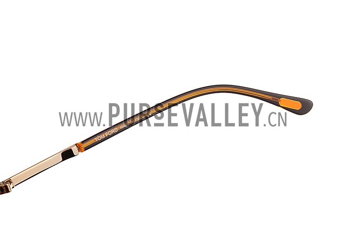 Tom Ford Brown With Gold Sunglasses 308052