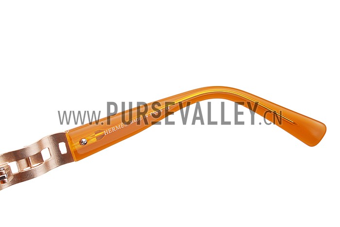 Hermes Oversized Round Frame Brown Sunglasses 308099