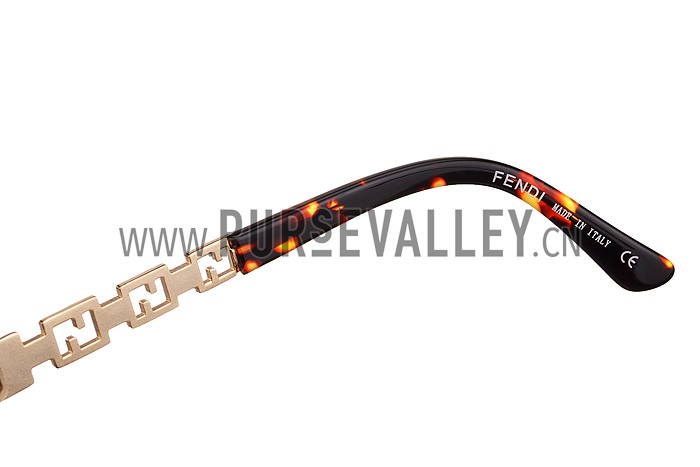 Fendi Oprah Classic Tortoise Frame Sunglasses 308078