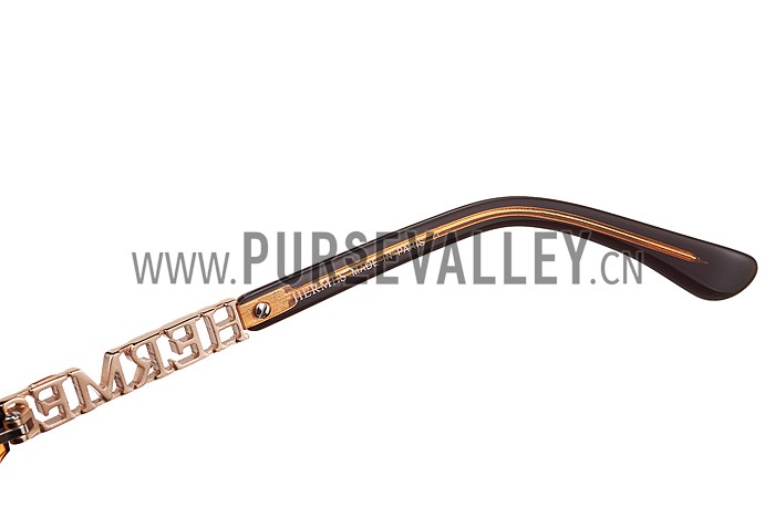 Hermes Large Oversized Brown Frame Sunglasses with Metallic Logo 308103