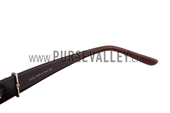 Dolce and Gabbana Brown With Silver Roses Sunglasses 308026