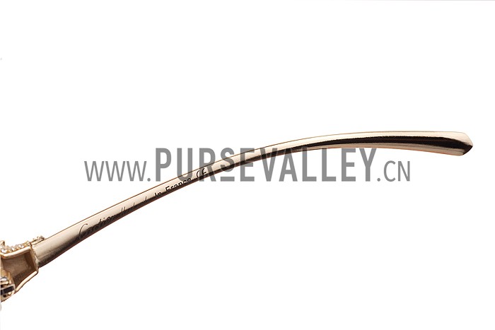 Cartier Panthere Wild de Cartier Beige Frame Sunglasses 308068