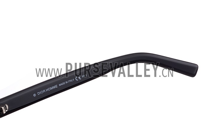 Christian Dior Homme Panto Black Lens Sunglasses 307894