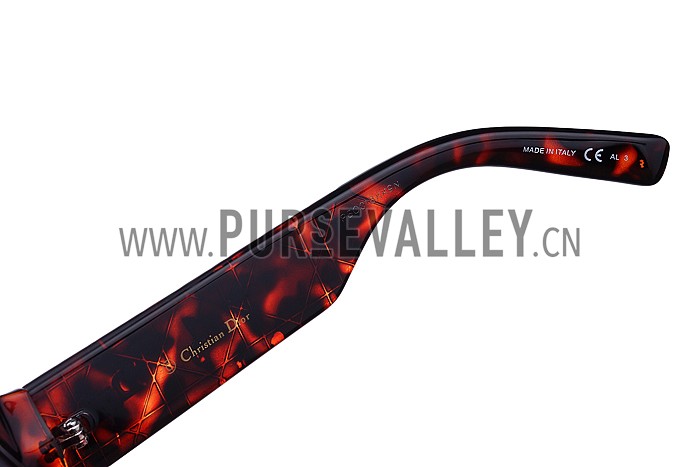 Christian Dior Lady In Dior 2 Red Sunglasses 307773