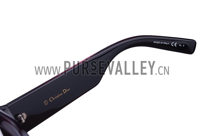 Christian Dior Lady In Dior 2 Plum Sunglasses 307776