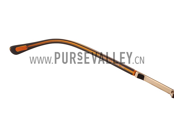 Tom Ford Brown With Gold Sunglasses 308052