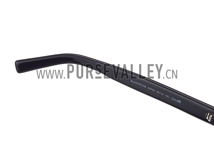 Christian Dior Homme Panto Green Lens Sunglasses 307895