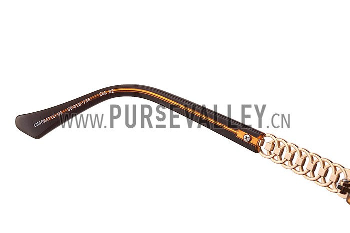 Christian Dior Brillance Brown Frame Sunglasses 308064