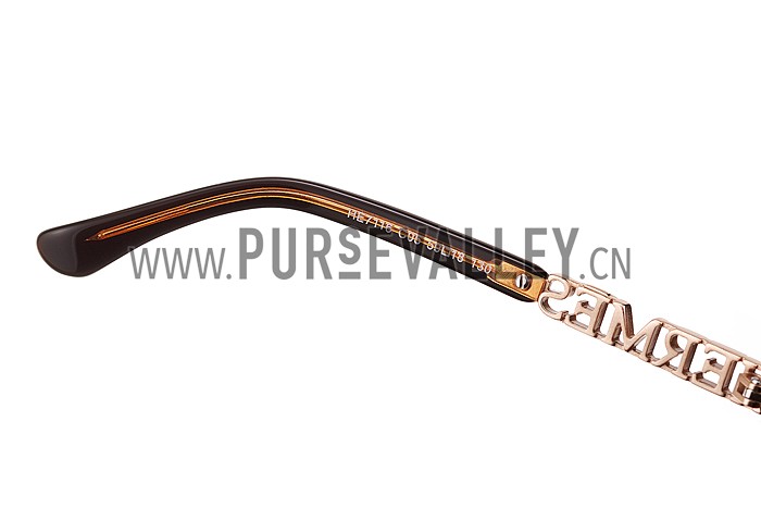 Hermes Large Oversized Brown Frame Sunglasses with Metallic Logo 308103