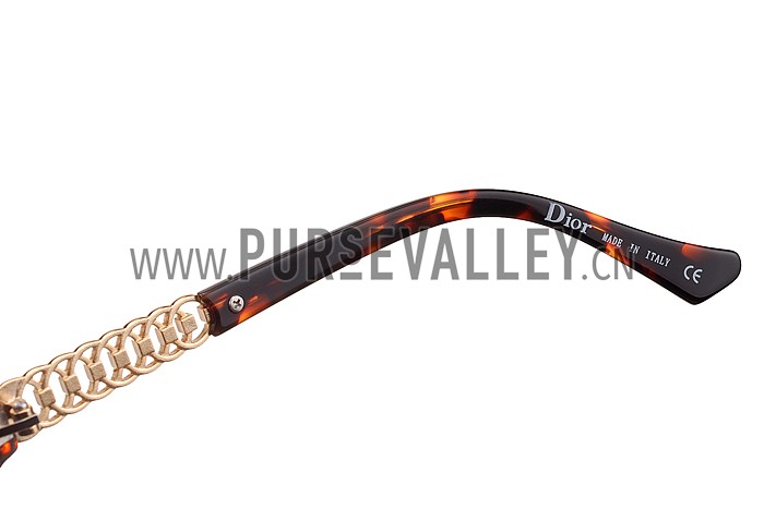 Christian Dior Brillance Tortoise Frame Sunglasses 308065