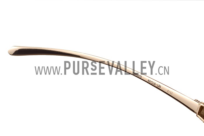 Cartier Panthere Wild de Cartier Beige Frame Sunglasses 308068