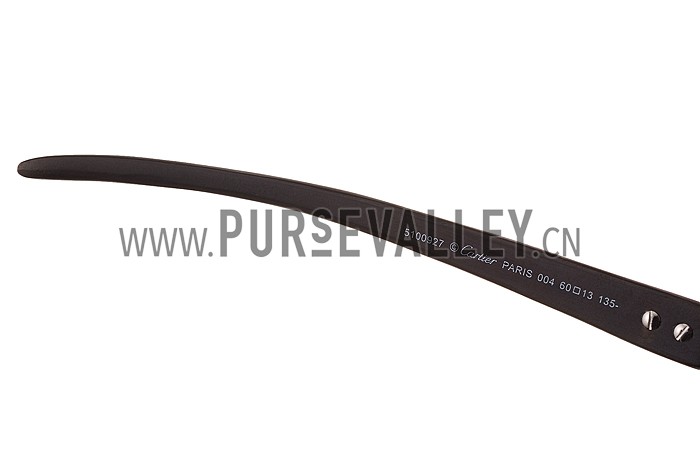 Cartier Panthere Detail Black Frame Gradient Lenses Sunglasses 308130