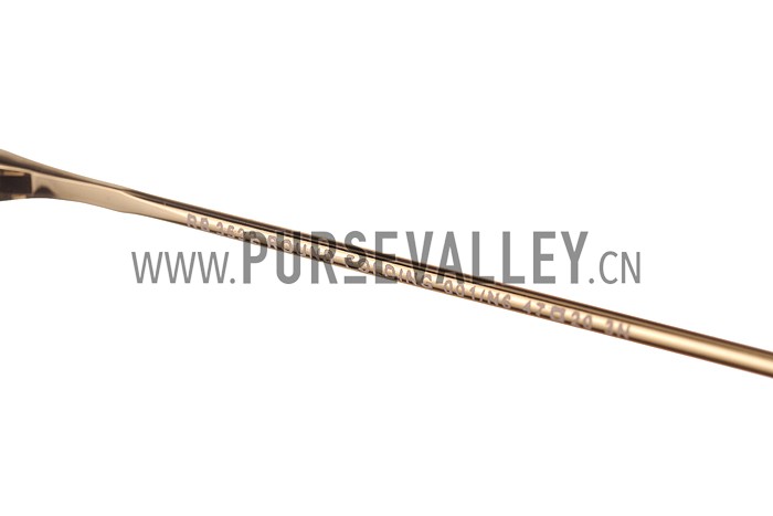 Ray Ban Round Gold Metal Frame Brown Lenses Sunglasses 308158