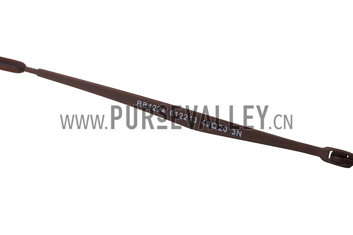 Ray Ban Clubround Brown Frame Brown Lenses Sunglasses 308171