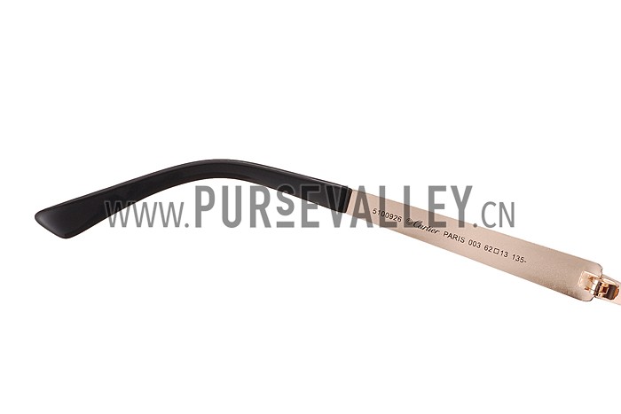 Cartier Wild Panthere Detail Gold Frame Gold Temples Sunglasses 308190