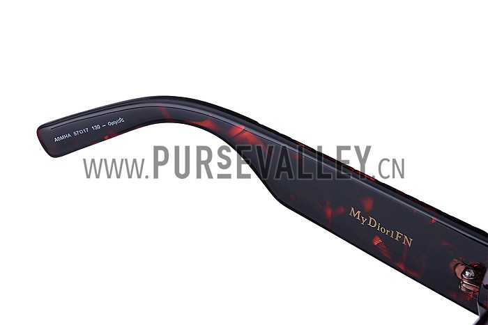 Christian Dior Lady In Dior 2 Red Sunglasses 307773