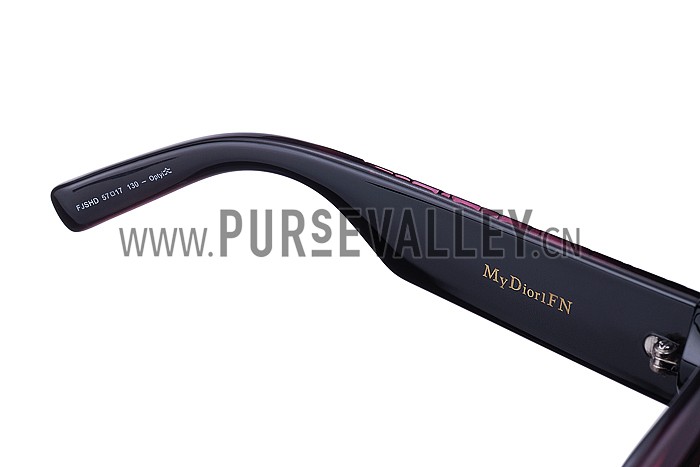 Christian Dior Lady In Dior 2 Plum Sunglasses 307776