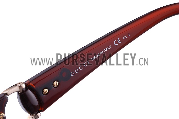 Gucci Modern Shape Brown Sunglasses 307811