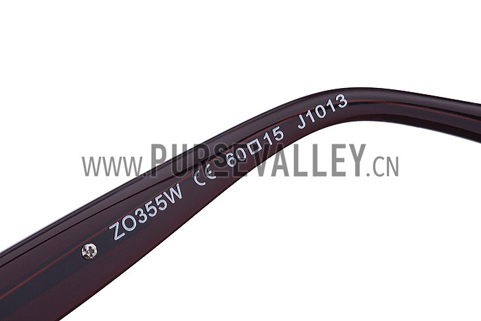 Louis Vuitton Evidence Brown Sunglasses 307857