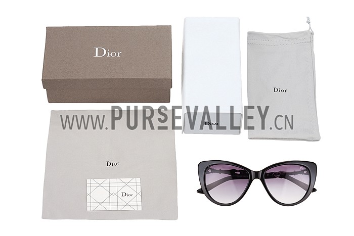 Christian Dior Cat Eye With 3 Stars Black Silver Sunglasses 308023