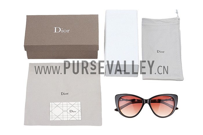 Christian Dior Cat Eye With 3 Stars Brown Sunglasses 308024
