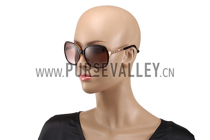 Hermes Large Oversized Brown Frame Sunglasses with Metallic Logo 308103