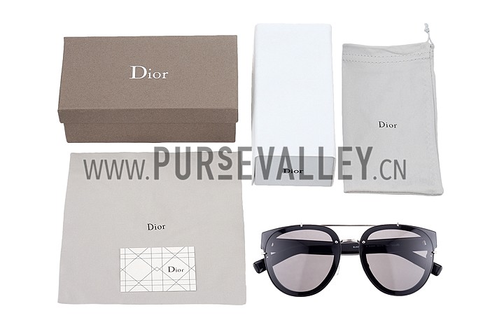 Christian Dior Homme Panto Black Lens Sunglasses 307894