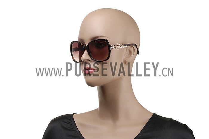 Hermes Carriage Motif Havana Sunglasses 307832