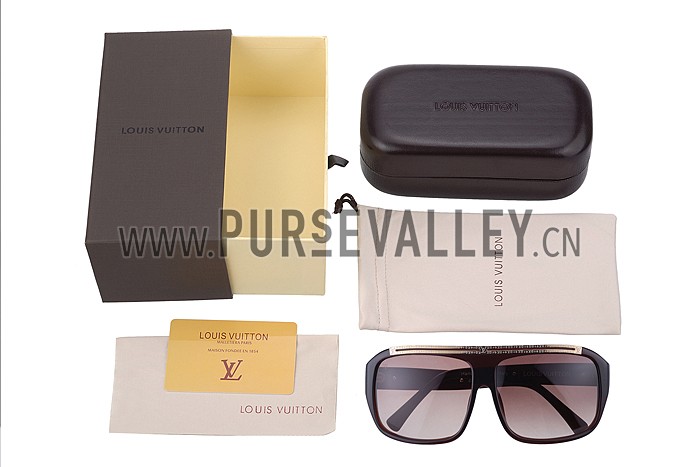 Louis Vuitton Evidence Brown Sunglasses 307857