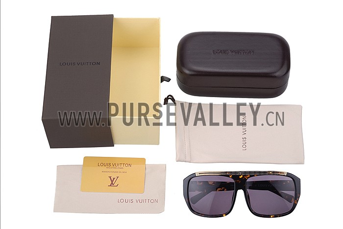 Louis Vuitton Evidence Tortoise Sunglasses 307858