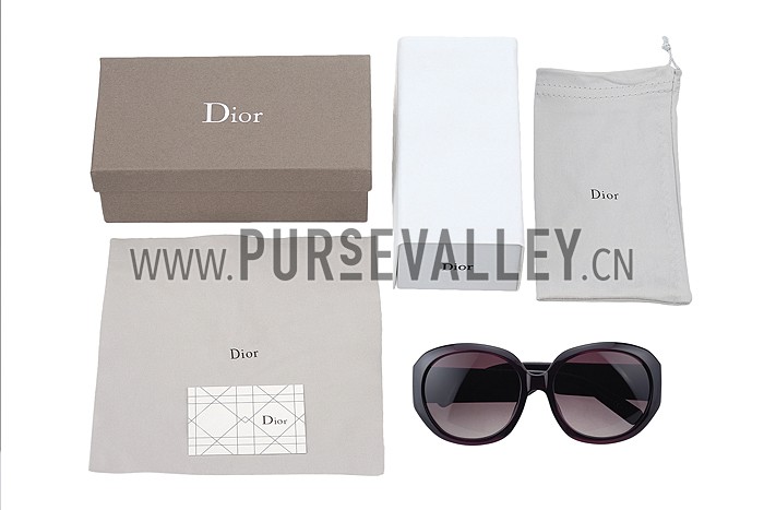 Christian Dior Lady In Dior 2 Plum Sunglasses 307776
