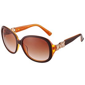 Hermes Oversized Round Frame Brown Sunglasses 308099