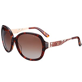 Burberry Butterfly Round Havane Sunglasses 307763