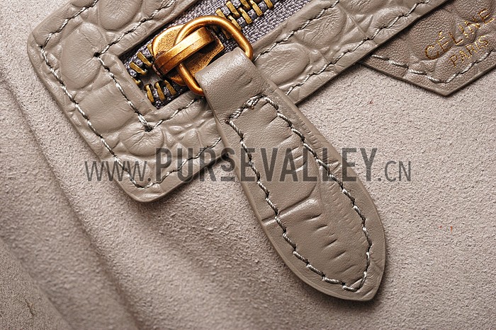 Celine Micro Luggage Crocodile Grey