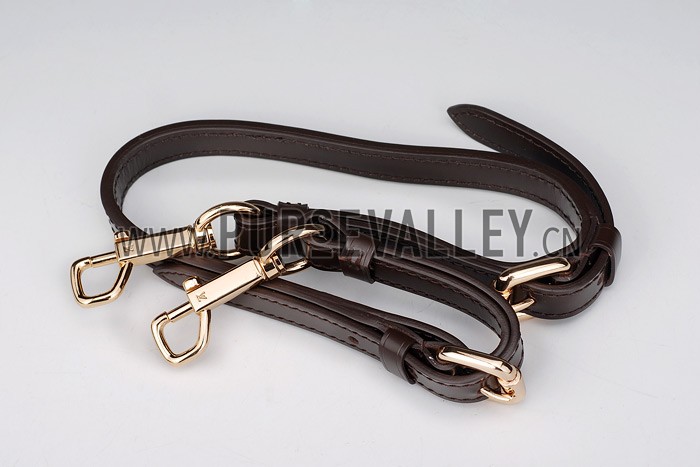 Louis Vuitton Damier Canvas Trevi PM